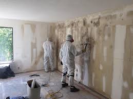 Best Basement Mold Removal  in Vernon, TX